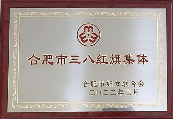合肥市三八红旗集体