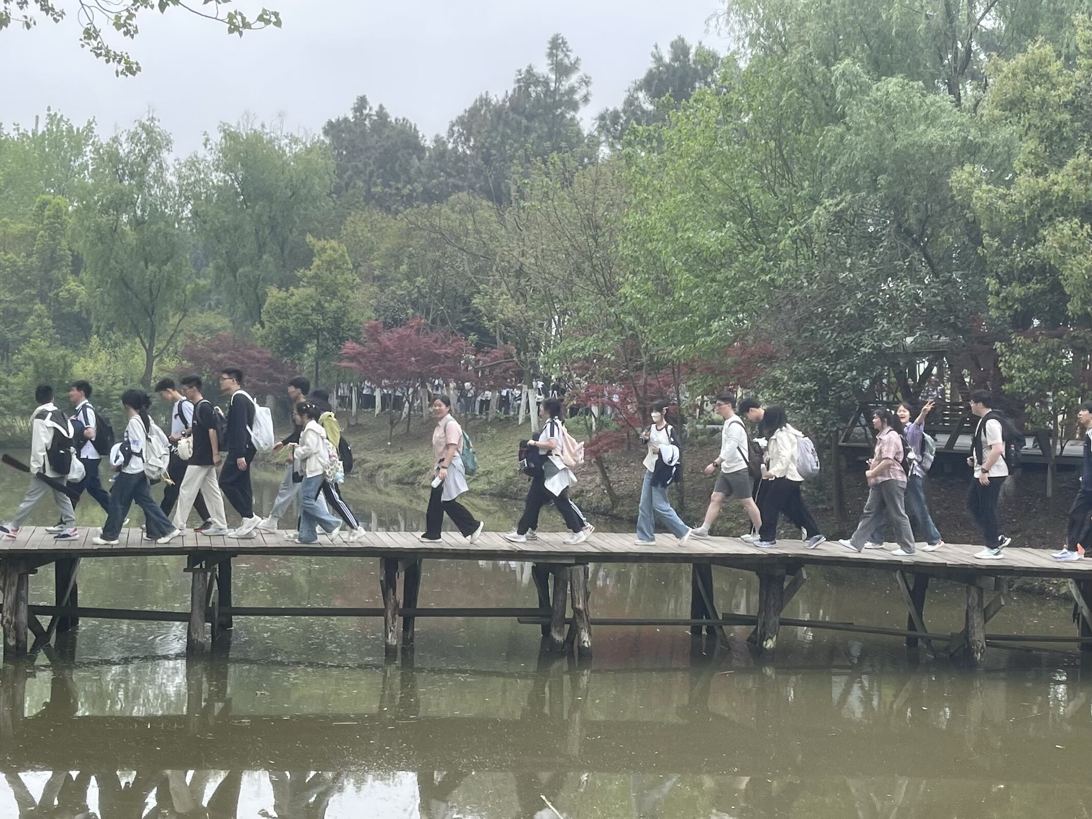 Image_47986858235339