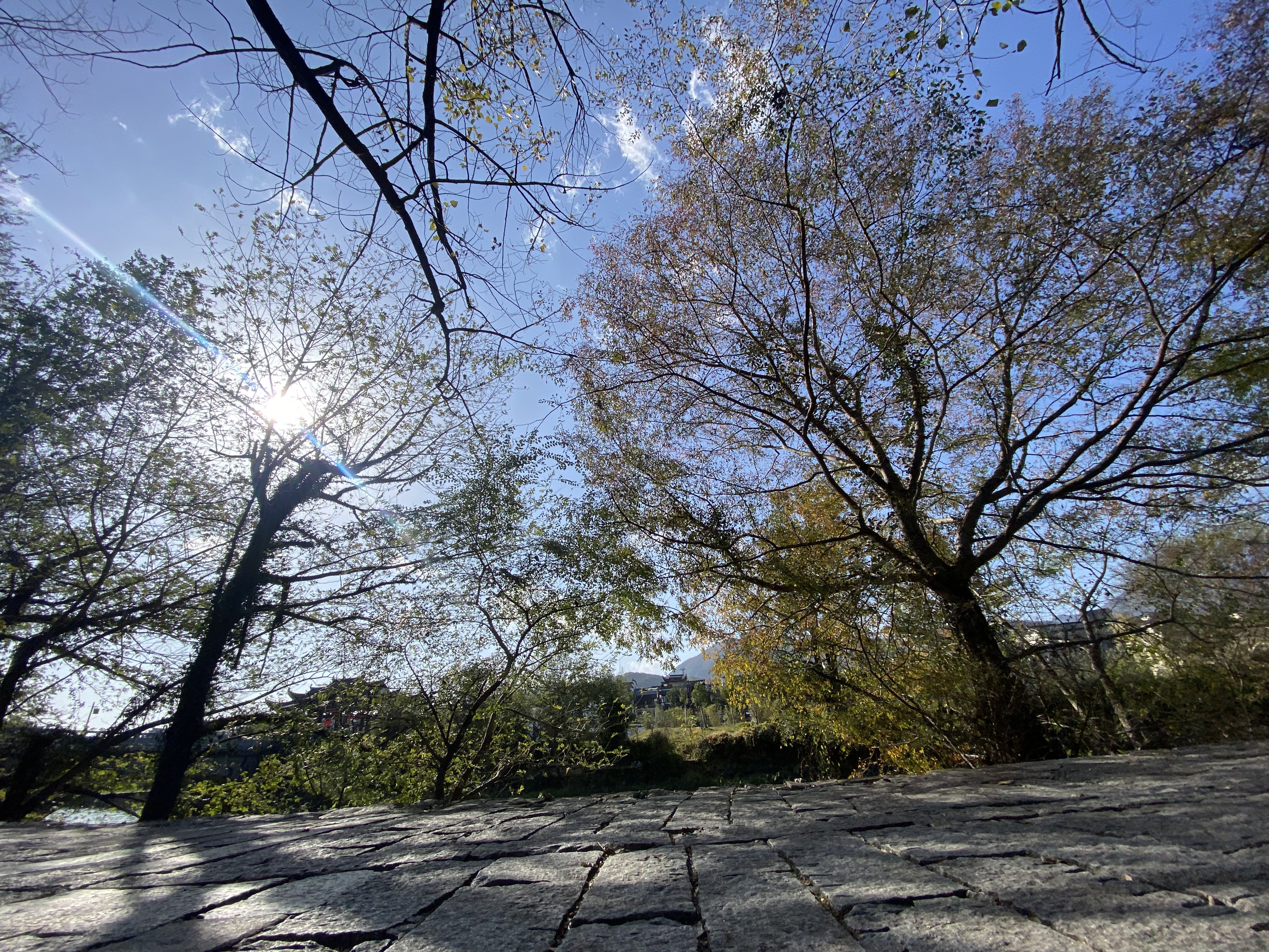 2f428c01091547eec5119959b7071394