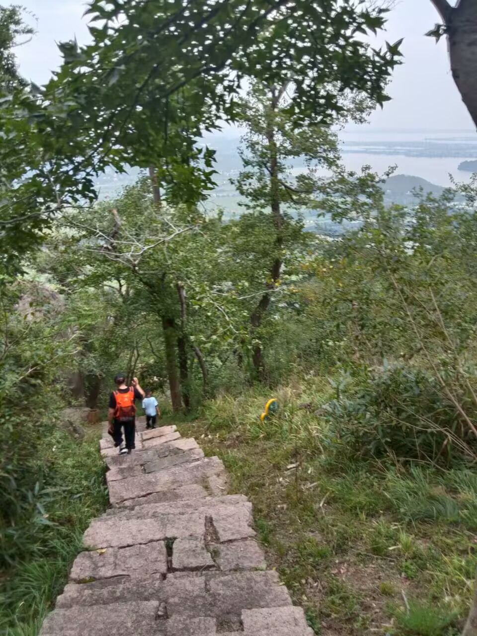 0302e520758693e481a3a609dc1d72b9