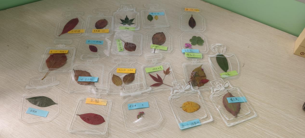 mmexport1761732726051