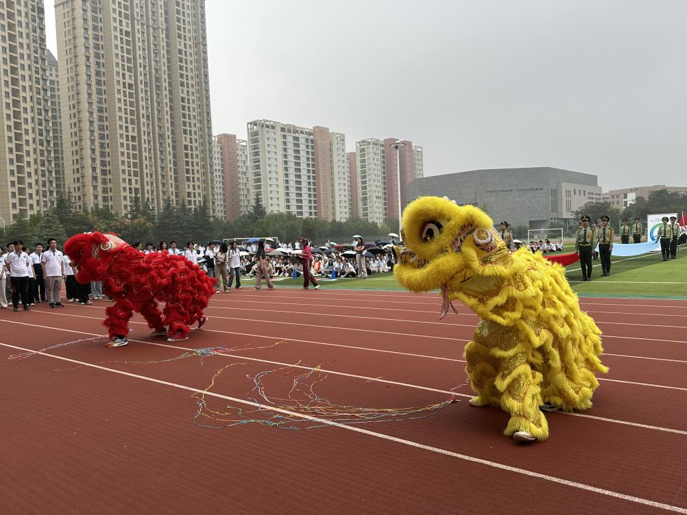 d5f586af085bbda46d14732db74d02b9