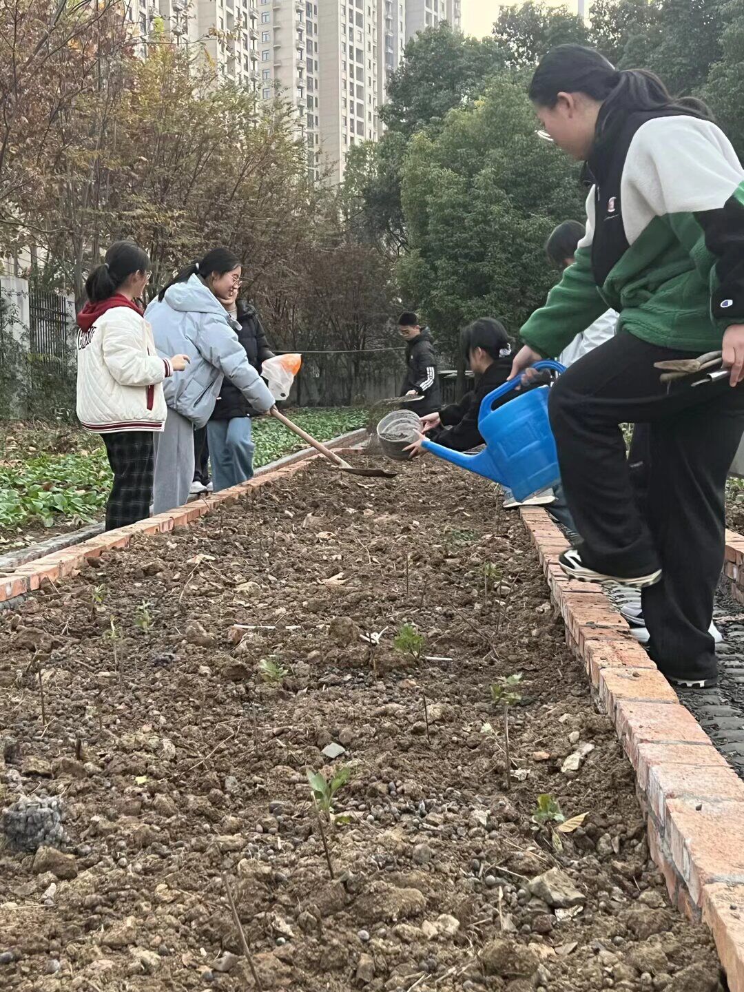 QQ图片20251229104829