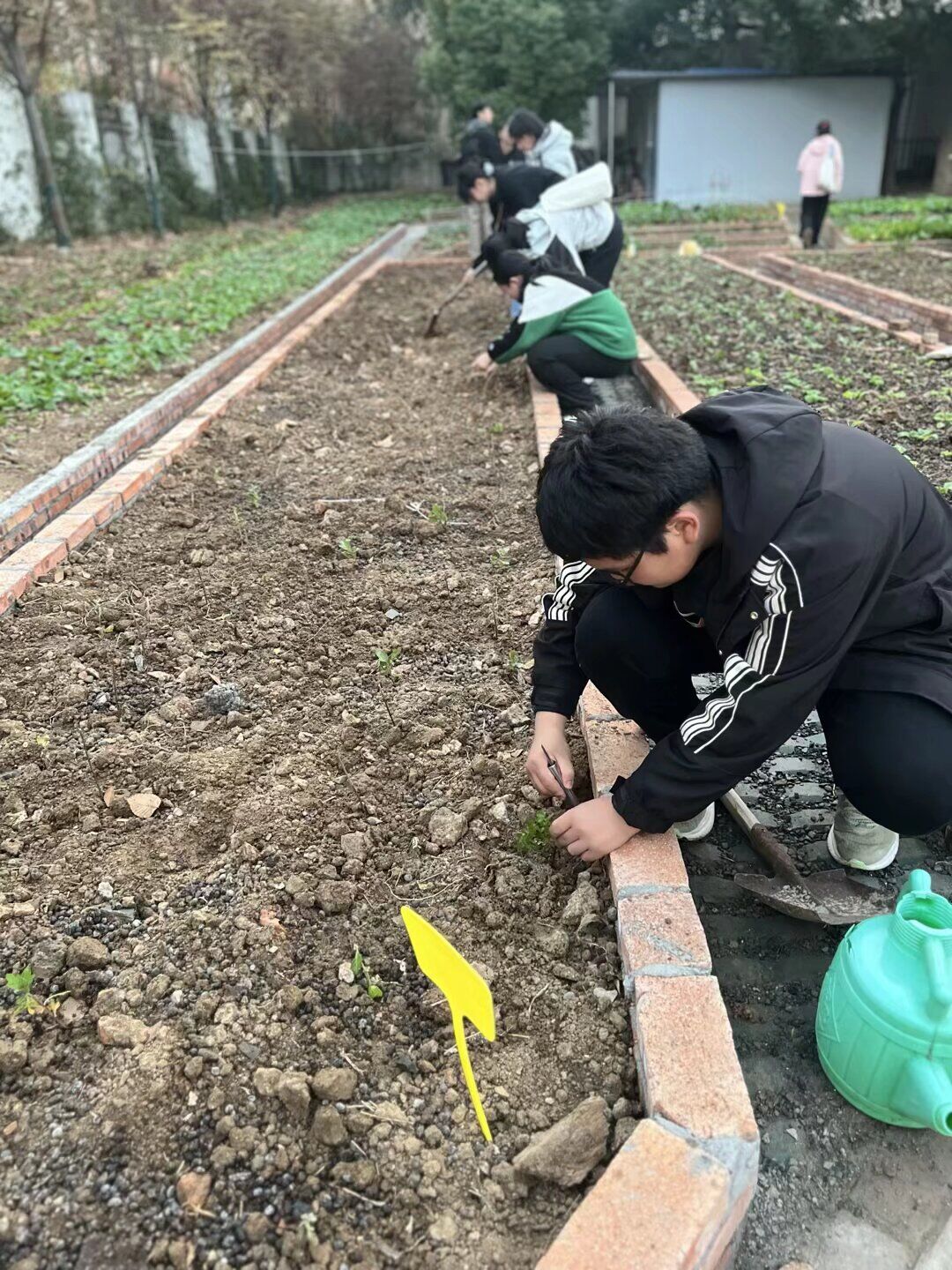 QQ图片20251229104838