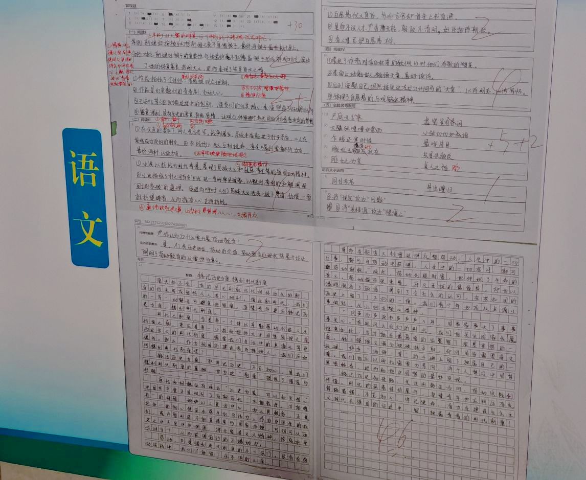 qq_pic_merged_1765074853319