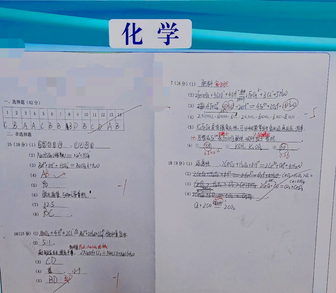 qq_pic_merged_1765075120775