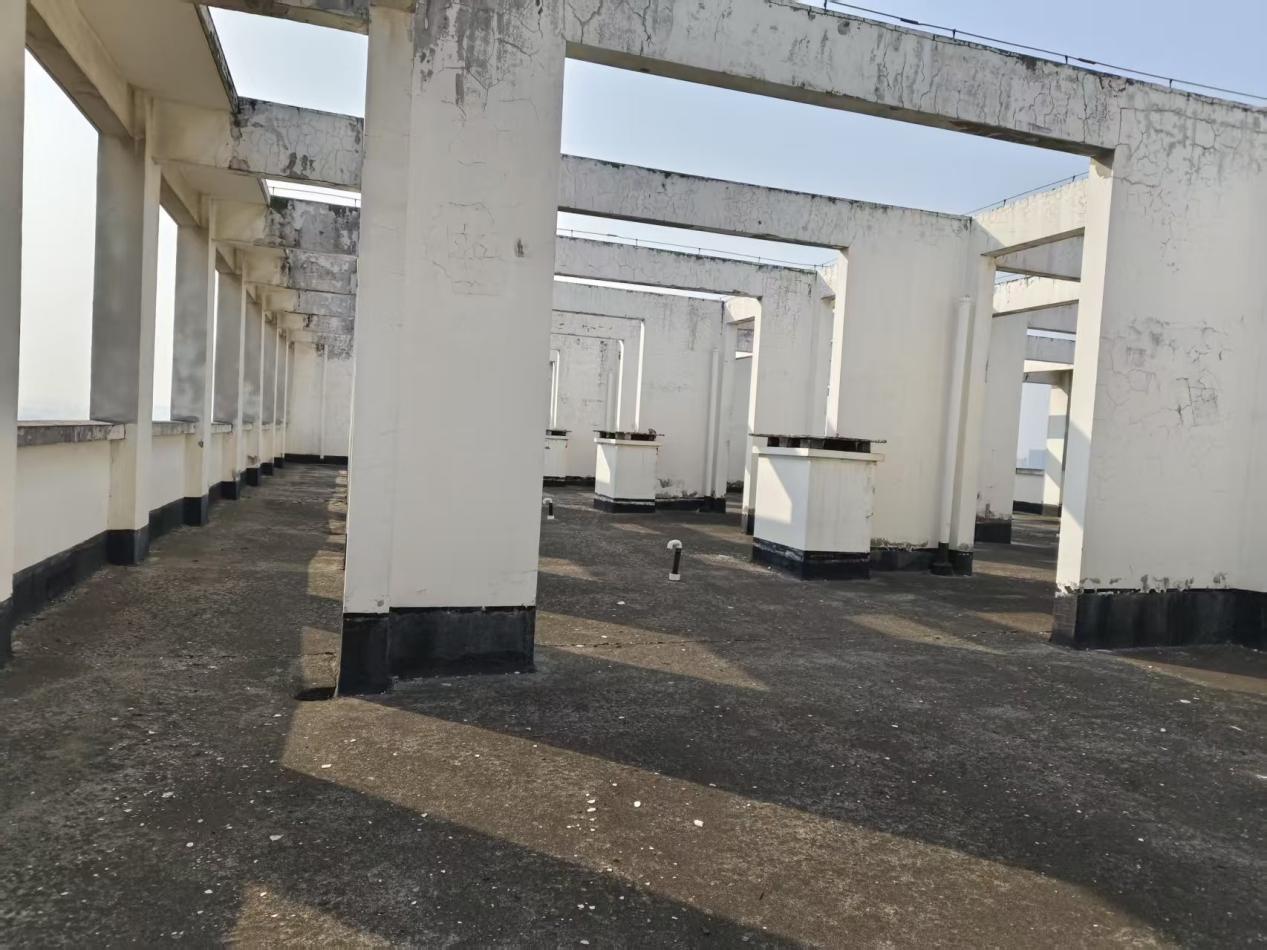 mmexport1770795116343 mmexport1770795116343