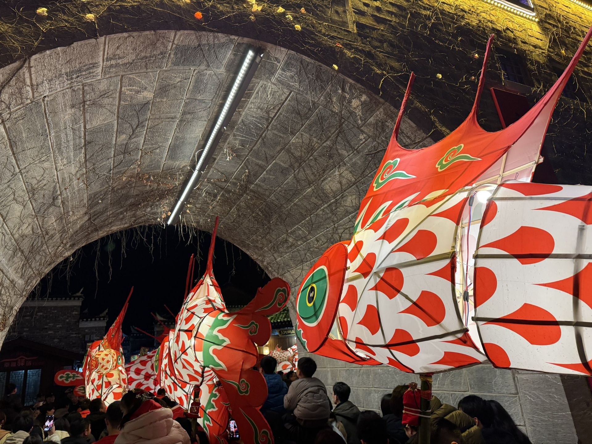 Image_1771574912808_645