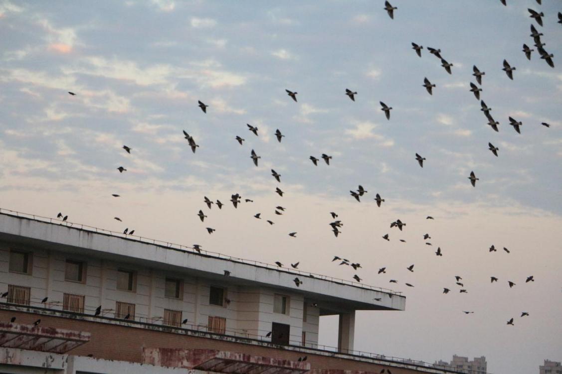 2025级19石宇轩 (3)