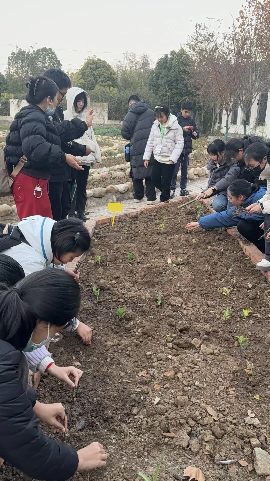 B4F8E1C6607F6FAB2226255F6AD64DBD