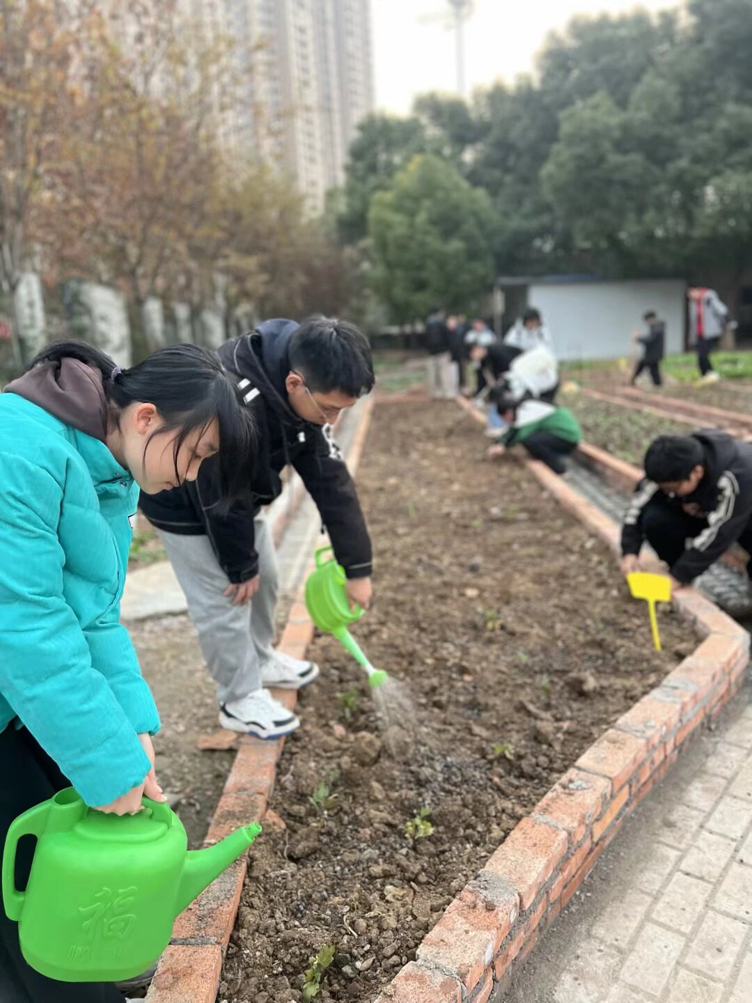 DB7485B455C622A5883335F4DAF218BA