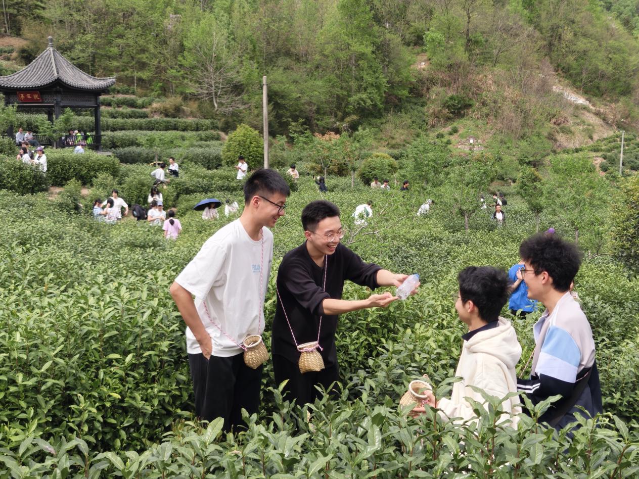 2315574af91817212943b714959966c