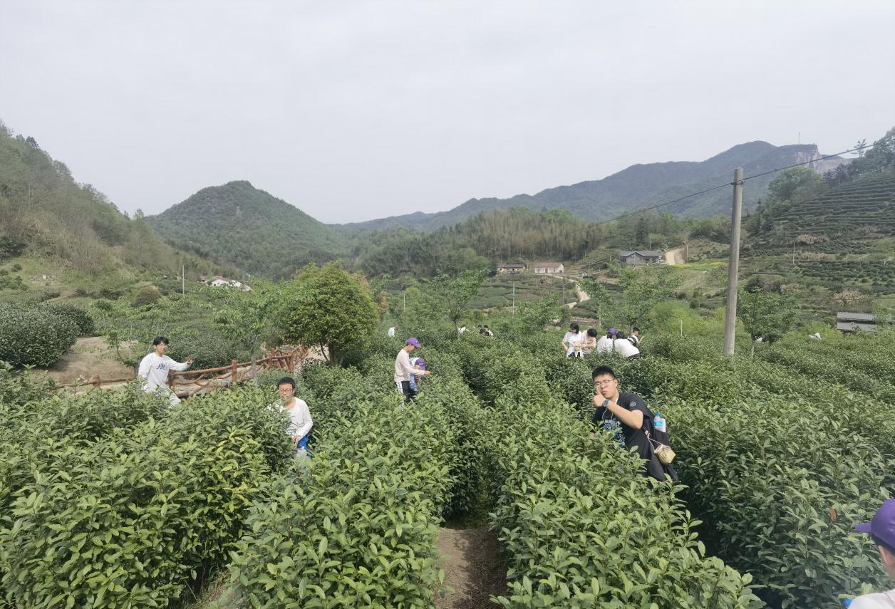 2e6be813a9b589eb475755065fde0d3