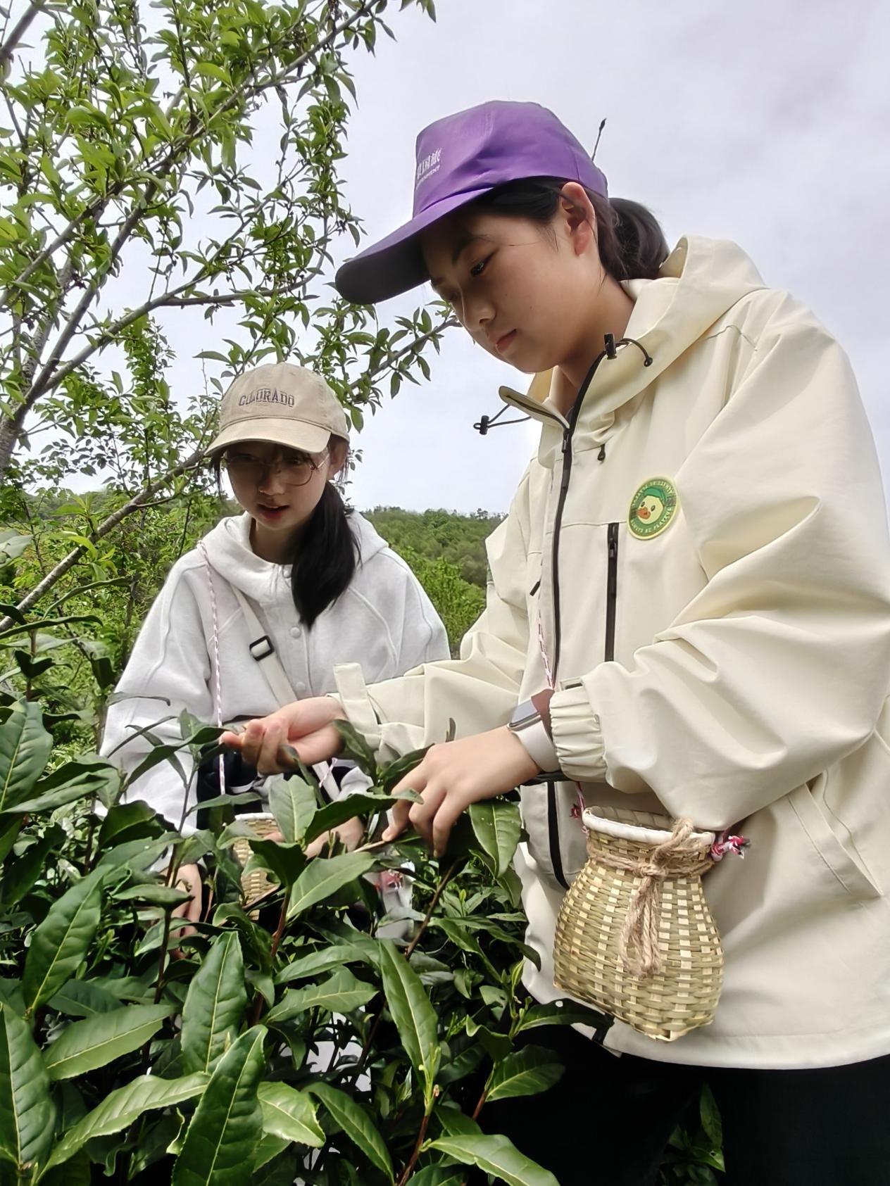 c04668acaa96d47b38ad30d41bea468