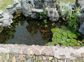 2026-04-11 13:00:51.674000