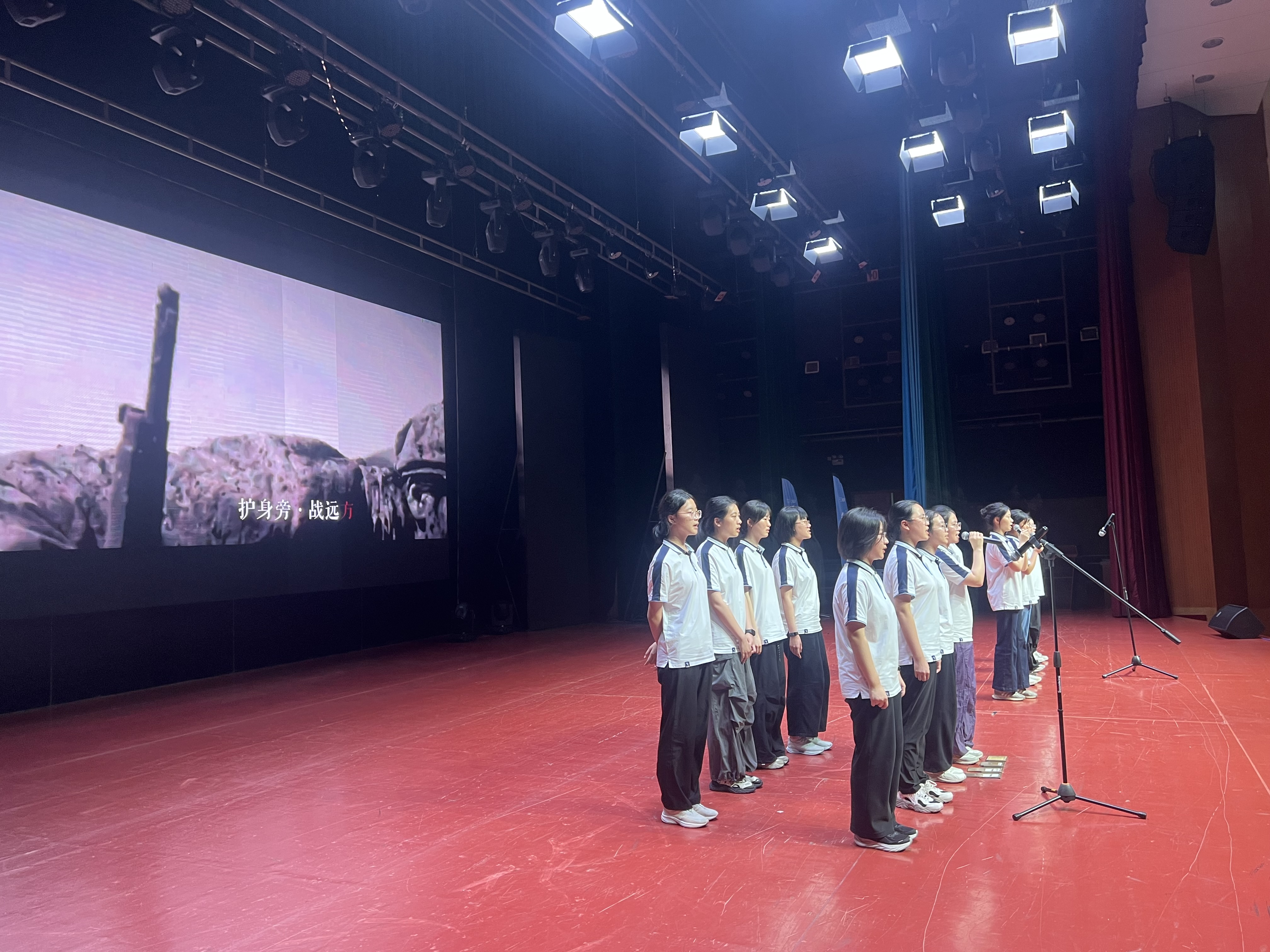 IMG_256 IMG_256