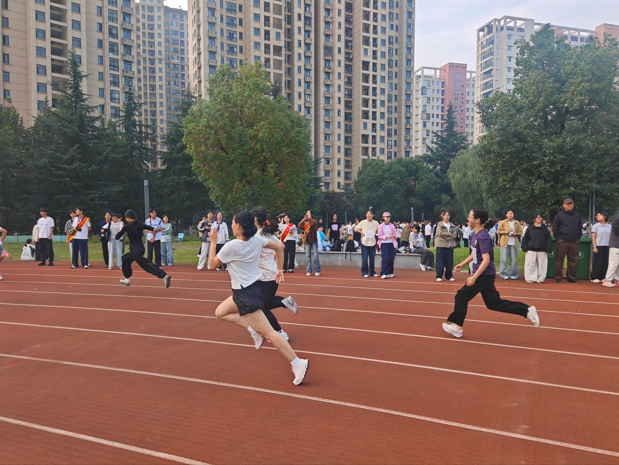 QQ图片20261013165034(42)